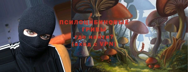 гашик Верхний Тагил