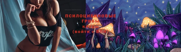 гидропоника Верхнеуральск