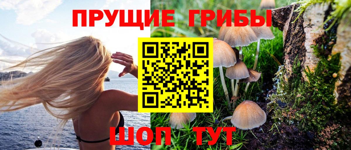 как найти закладки  Псилоцибиновые грибы Psilocybe  Вход с VPN  Вичуга 